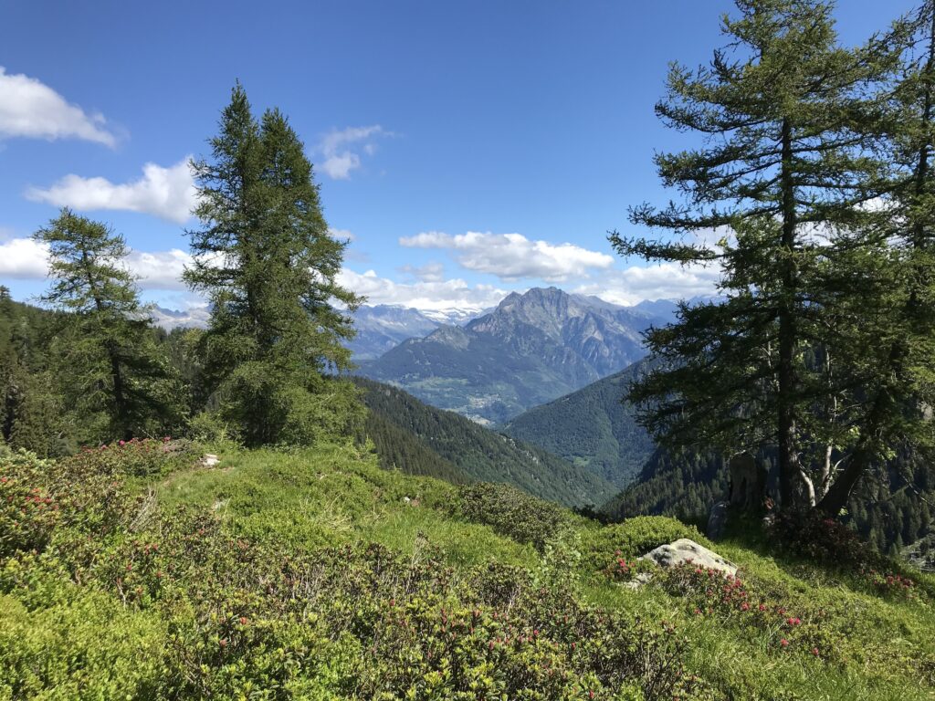 Bergpanorama an einem Wanderweg in den Alpen.