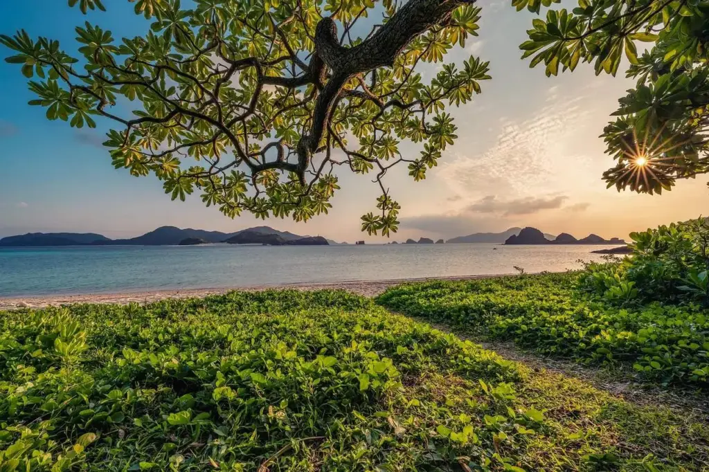 Kurztrip Packliste- Baum am See